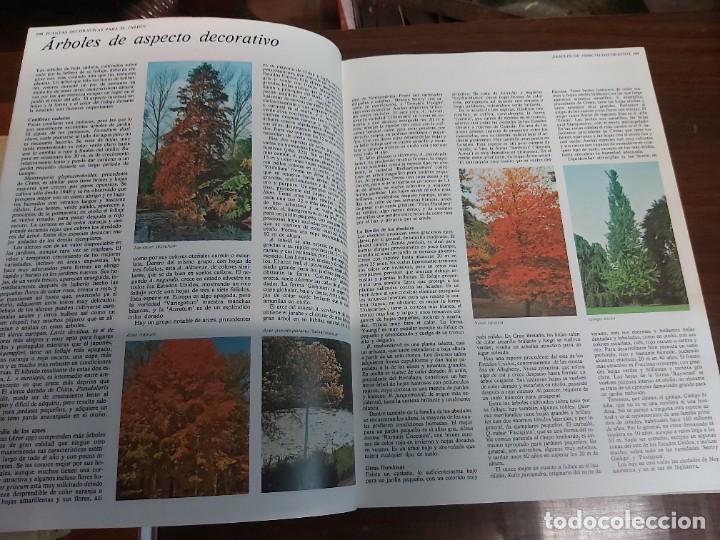Libros de segunda mano: GUIA PR&Aacute;CTICA ILUSTRADA PARA EL JARD&Iacute;N 2. EDITORIAL BLUME. - Foto 8