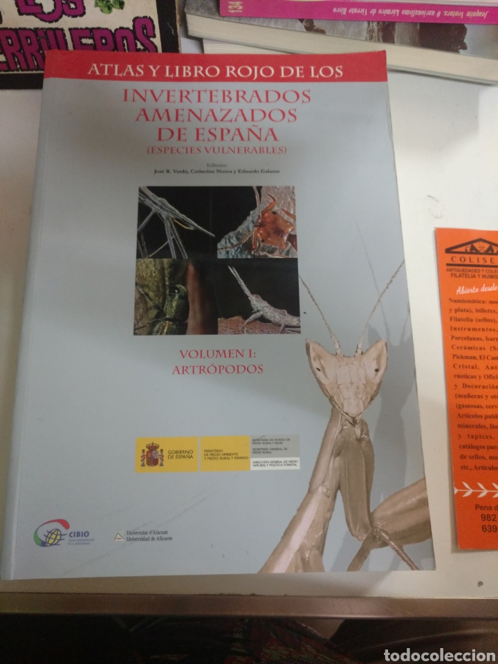 Libri di seconda mano: ATLAS Y LIBRO ROJO DE LOS INVERTEBRADOS AMENAZADOS DE ESPA&Ntilde;A VOLUMEN I : ARTR&Oacute;PODOS