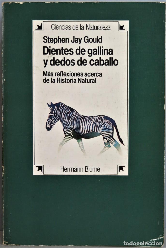 Libros de segunda mano: DIENTES DE GALLINA, DEDOS DE CABALLO. GOULD - Foto 1