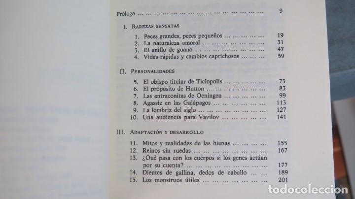 Libros de segunda mano: DIENTES DE GALLINA, DEDOS DE CABALLO. GOULD - Foto 2