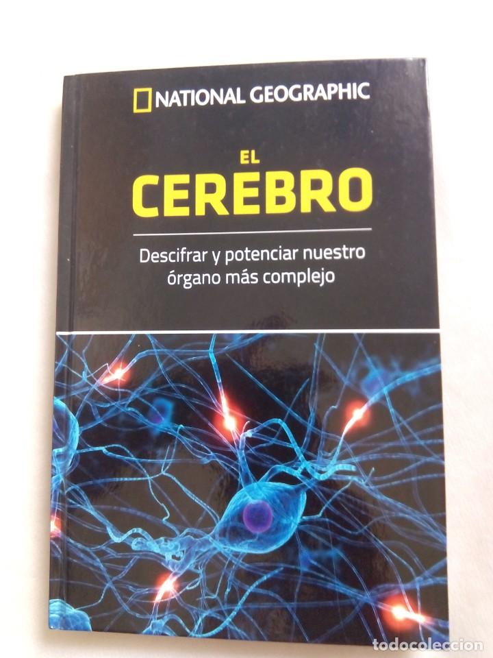 Libros de segunda mano: EL CEREBRO. NATIONAL GEOGRAPHIC / JOS&Eacute; VIOSCA - Foto 1