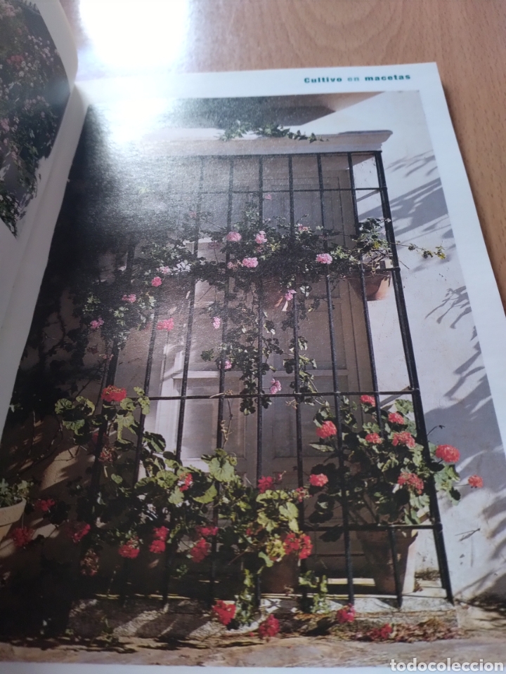 Libros de segunda mano: Gu&iacute;a de las plantas de balcones y terrazas - Foto 4