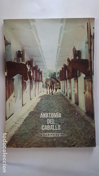Libros de segunda mano: ANATOMIA DEL CABALLO - Foto 1