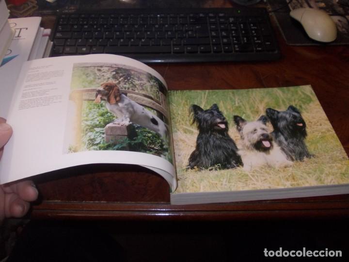 Libros de segunda mano: Gu&iacute;a completa de Razas Caninas. Derek Hall. Lisma 2&ordf; ed. 2.008 - Foto 4