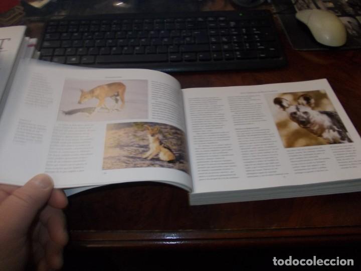 Libros de segunda mano: Gu&iacute;a completa de Razas Caninas. Derek Hall. Lisma 2&ordf; ed. 2.008 - Foto 5