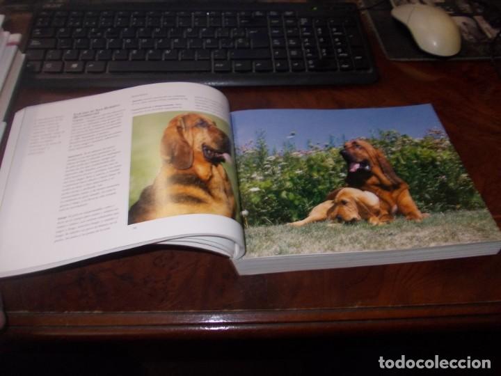 Libros de segunda mano: Gu&iacute;a completa de Razas Caninas. Derek Hall. Lisma 2&ordf; ed. 2.008 - Foto 6