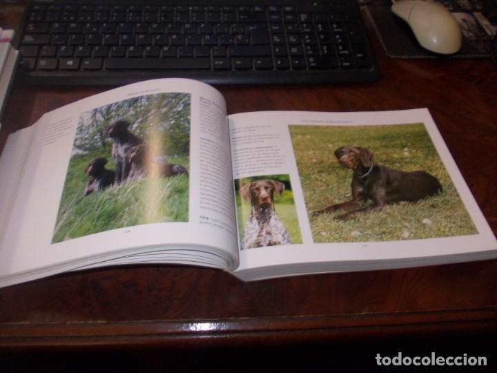 Libros de segunda mano: Gu&iacute;a completa de Razas Caninas. Derek Hall. Lisma 2&ordf; ed. 2.008 - Foto 7