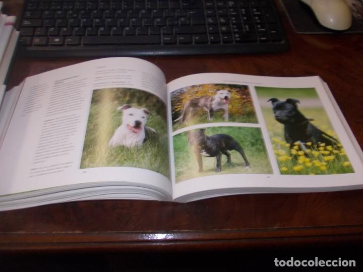 Libros de segunda mano: Gu&iacute;a completa de Razas Caninas. Derek Hall. Lisma 2&ordf; ed. 2.008 - Foto 8