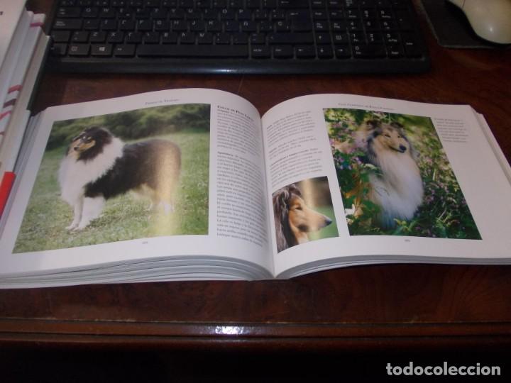 Libros de segunda mano: Gu&iacute;a completa de Razas Caninas. Derek Hall. Lisma 2&ordf; ed. 2.008 - Foto 9