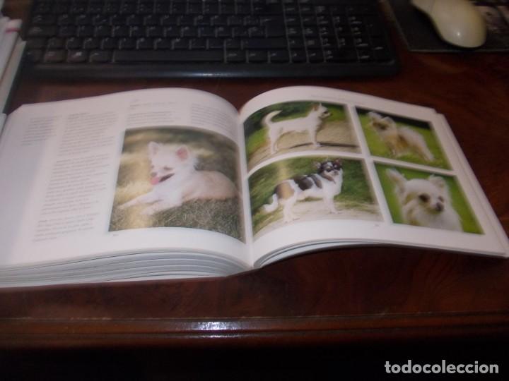 Libros de segunda mano: Gu&iacute;a completa de Razas Caninas. Derek Hall. Lisma 2&ordf; ed. 2.008 - Foto 10