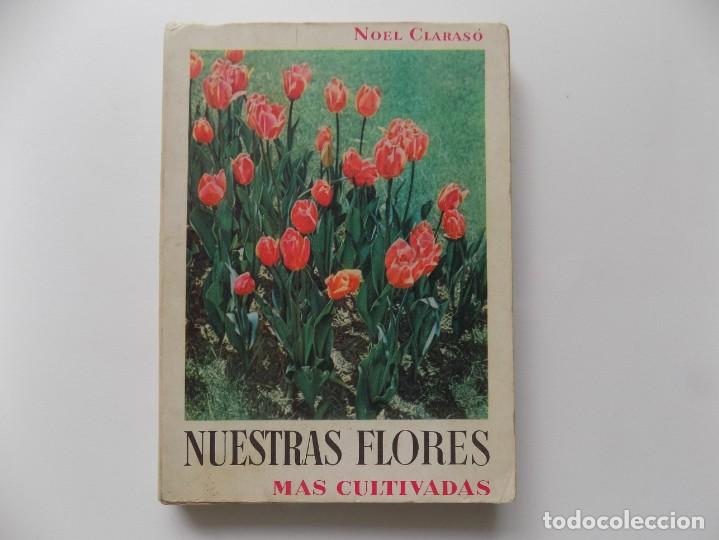 Libreria Ghotica Noel Claraso Nuestras Flores Comprar Libros De