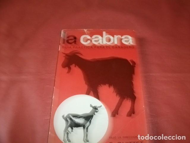 Libros de segunda mano: LA CABRA GU&Iacute;A PR&Aacute;CTICA PARA EL GANADERO - E. QUITTET - Foto 1