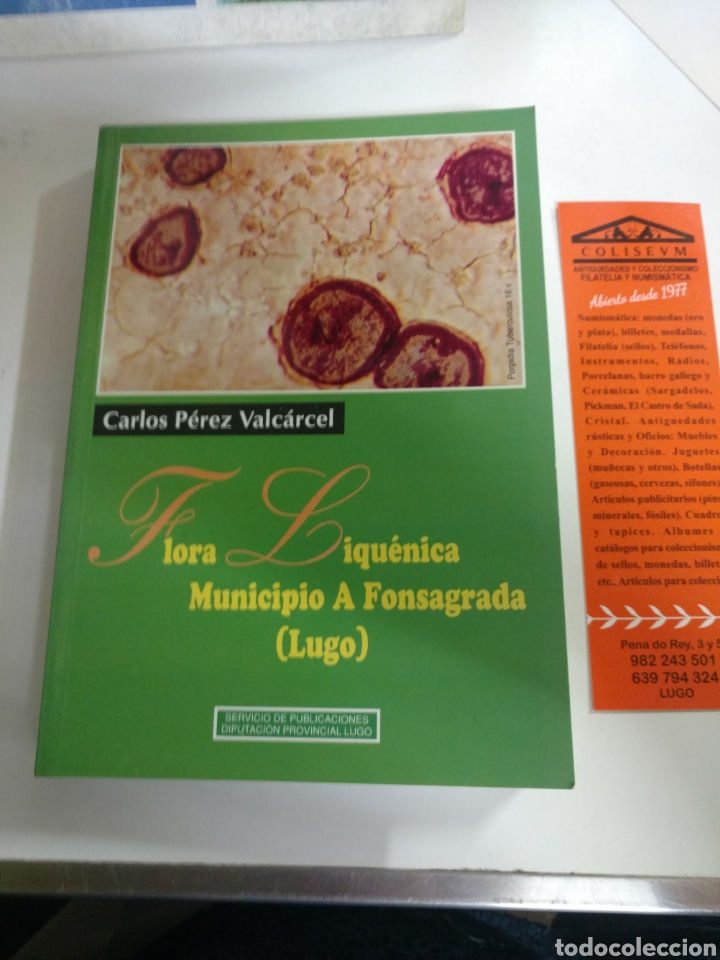 Libri di seconda mano: FLORA LIQUENICA MUNICIPIO DE A FONSAGRADA ( LUGO). CARLOS P&Eacute;REZ VALCARCEL 1999
