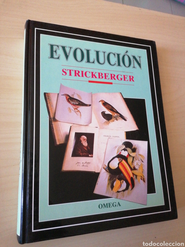 Libros de segunda mano: EVOLUCI&Oacute;N. STRICKBERGER. OMEGA. 1993. - Foto 1