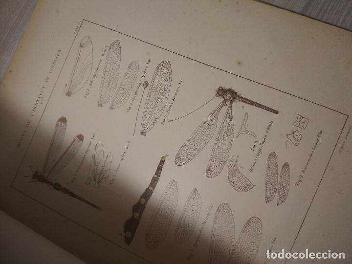 Libros de segunda mano: Arxius de l&rsquo;Institut de Ci&egrave;ncies Any I N&uacute;mero I - Foto 3