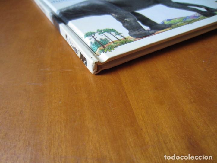 Libros de segunda mano: Todo sobre los Dinosaurios - El Barosaurio (William Lindsay) - Foto 5