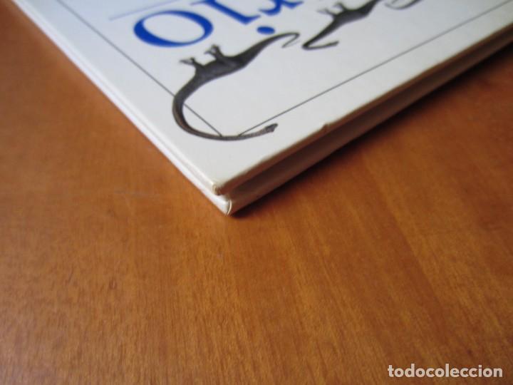 Libros de segunda mano: Todo sobre los Dinosaurios - El Barosaurio (William Lindsay) - Foto 7