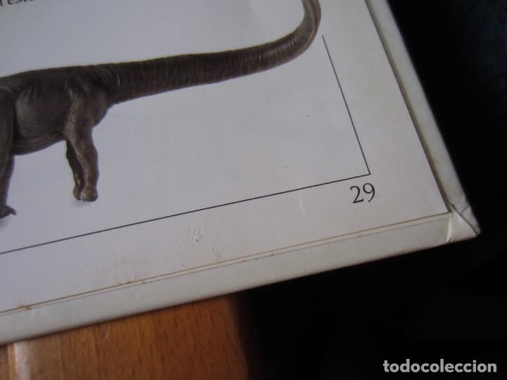 Libros de segunda mano: Todo sobre los Dinosaurios - El Barosaurio (William Lindsay) - Foto 8
