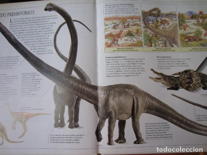 Libros de segunda mano: Todo sobre los Dinosaurios - El Barosaurio (William Lindsay) - Foto 11