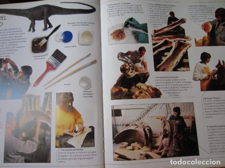 Libros de segunda mano: Todo sobre los Dinosaurios - El Barosaurio (William Lindsay) - Foto 12