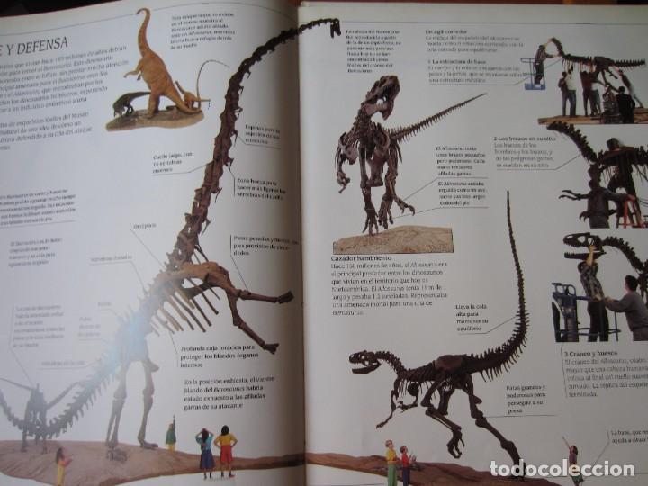 Libros de segunda mano: Todo sobre los Dinosaurios - El Barosaurio (William Lindsay) - Foto 13