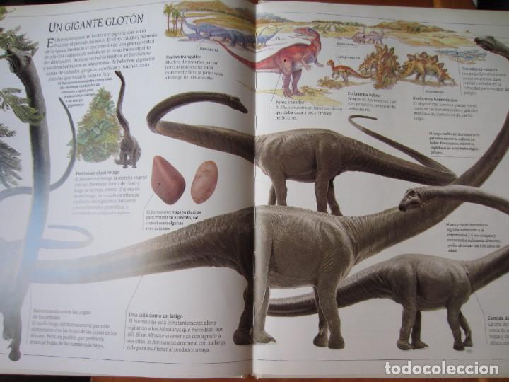 Libros de segunda mano: Todo sobre los Dinosaurios - El Barosaurio (William Lindsay) - Foto 14