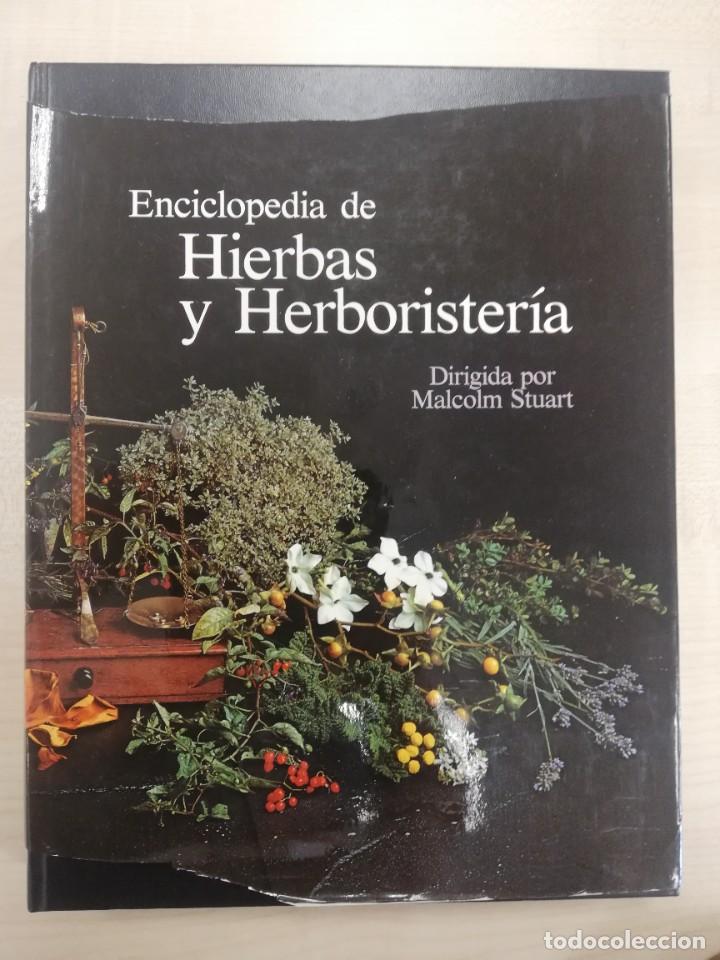 Libros de segunda mano: ENCICLOPEDIA DE HIERBAS Y HERBORISTERIA. ED.OMEGA MALCOLM STUART - Foto 1