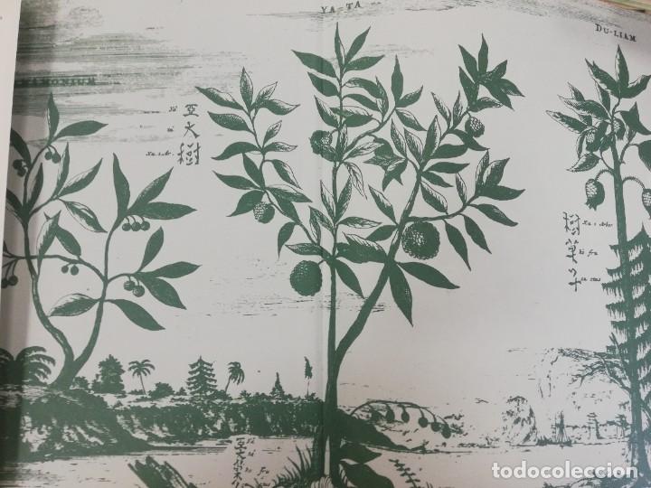 Libros de segunda mano: ENCICLOPEDIA DE HIERBAS Y HERBORISTERIA. ED.OMEGA MALCOLM STUART - Foto 2