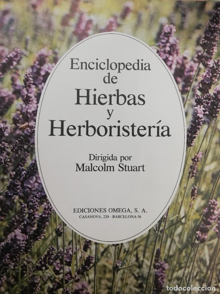 Libros de segunda mano: ENCICLOPEDIA DE HIERBAS Y HERBORISTERIA. ED.OMEGA MALCOLM STUART - Foto 4