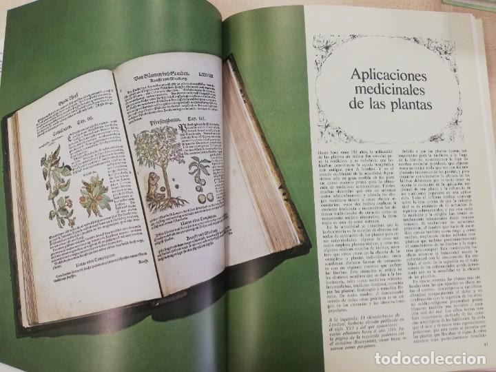 Libros de segunda mano: ENCICLOPEDIA DE HIERBAS Y HERBORISTERIA. ED.OMEGA MALCOLM STUART - Foto 6