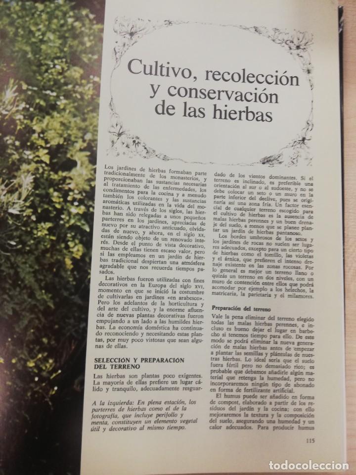 Libros de segunda mano: ENCICLOPEDIA DE HIERBAS Y HERBORISTERIA. ED.OMEGA MALCOLM STUART - Foto 11