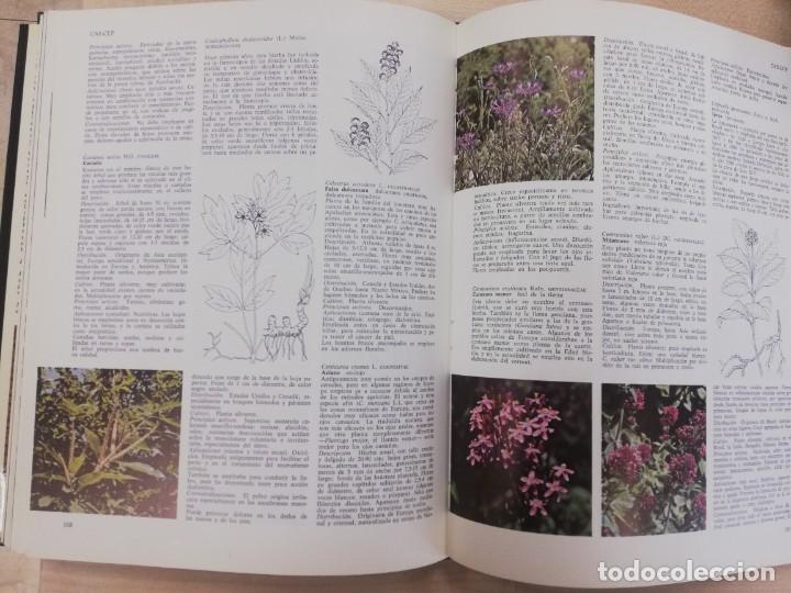 Libros de segunda mano: ENCICLOPEDIA DE HIERBAS Y HERBORISTERIA. ED.OMEGA MALCOLM STUART - Foto 12