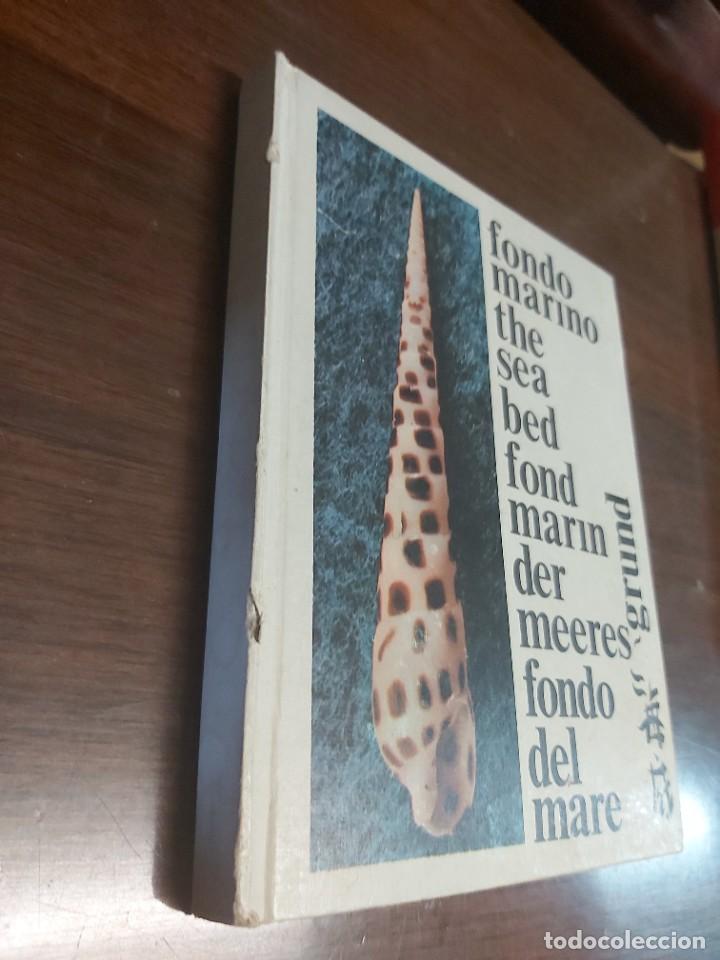 Libros de segunda mano: FONDO MARINO. EN VARIOS IDIOMAS. - Foto 1