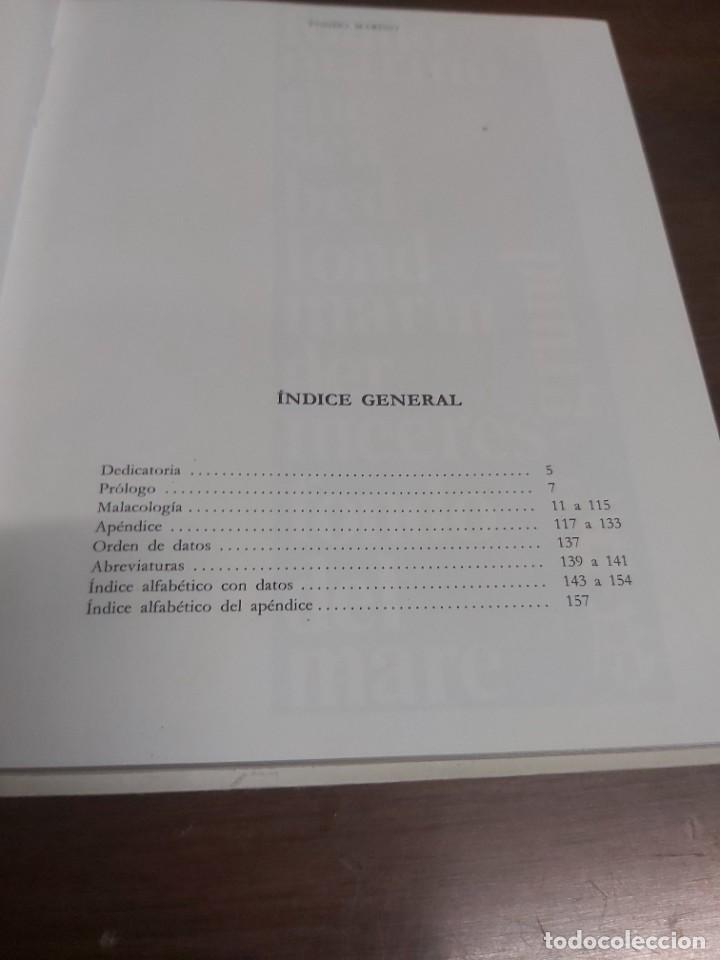 Libros de segunda mano: FONDO MARINO. EN VARIOS IDIOMAS. - Foto 2
