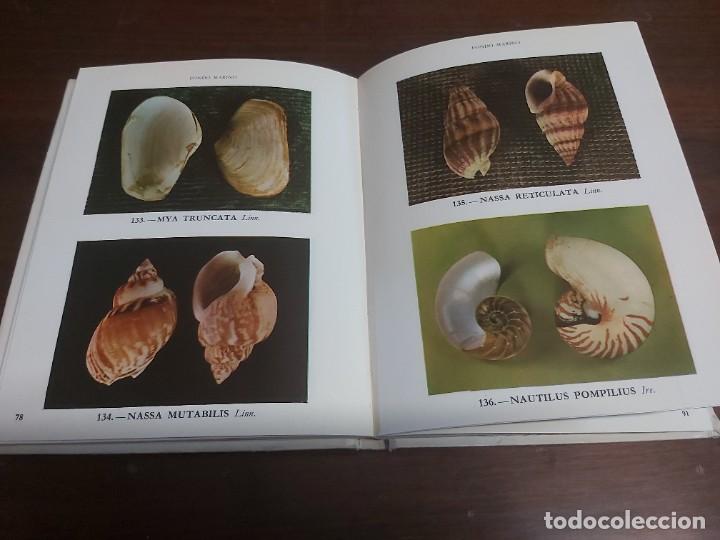 Libros de segunda mano: FONDO MARINO. EN VARIOS IDIOMAS. - Foto 3
