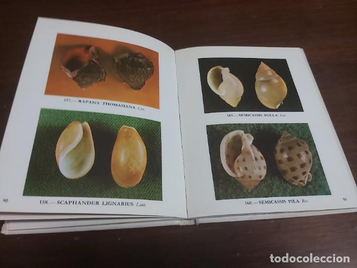 Libros de segunda mano: FONDO MARINO. EN VARIOS IDIOMAS. - Foto 4
