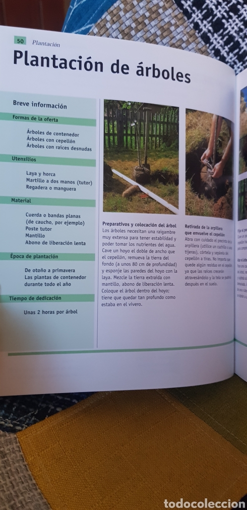 Libros de segunda mano: Libro DISE&Ntilde;A Y CUIDA TU JARD&Iacute;N. Edit. Everest - Foto 9