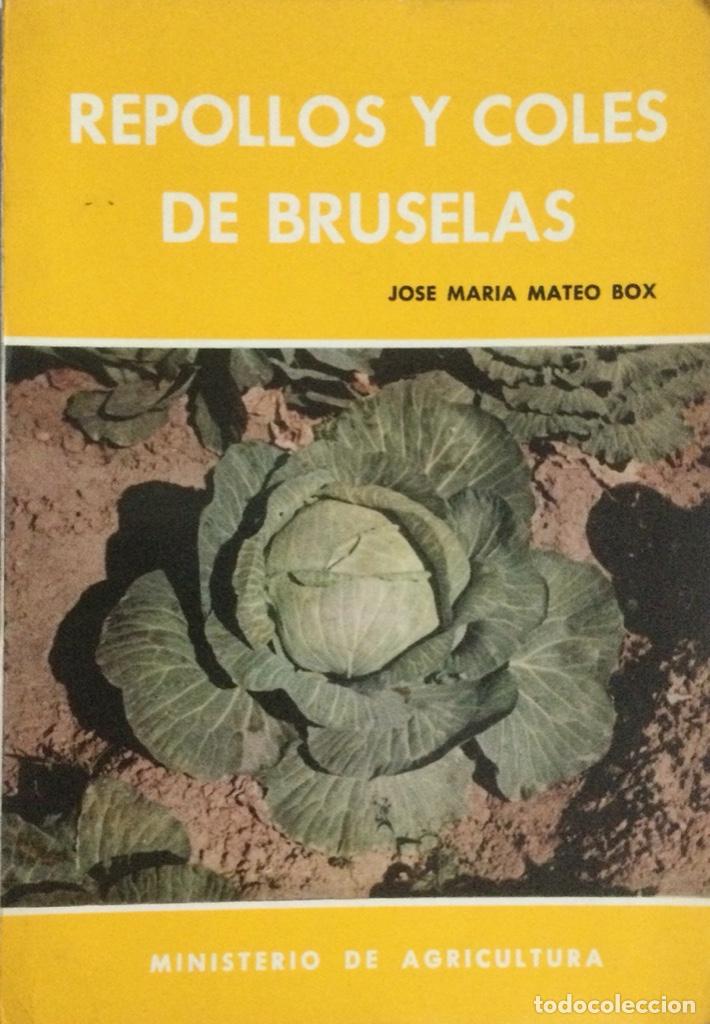 Libros de segunda mano: Repollos y coles de Bruselas. Mateo Box. - Foto 1