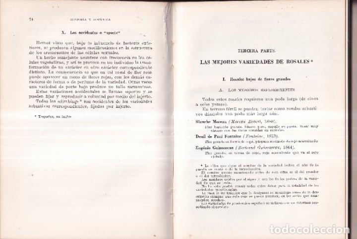 Libros de segunda mano: ROSALES - HENRY FUCHS, TRADUCCIÓN NOEL CLARASO - EDITORIAL GUSTAVO GILI 1950 - Foto 3 - 267612464