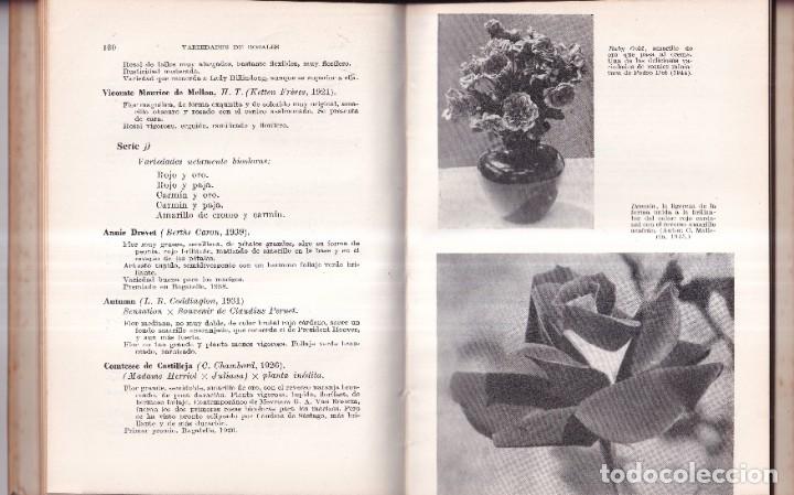 Libros de segunda mano: ROSALES - HENRY FUCHS, TRADUCCIÓN NOEL CLARASO - EDITORIAL GUSTAVO GILI 1950 - Foto 4 - 267612464