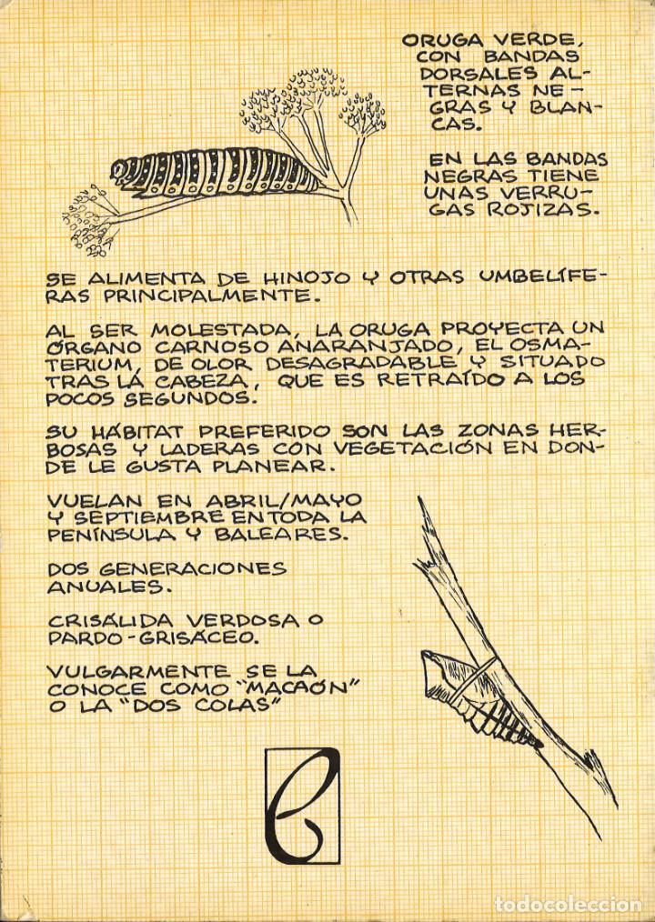 Libros de segunda mano: Las mariposas. Ediciones Penthalon. 1983 - Foto 2