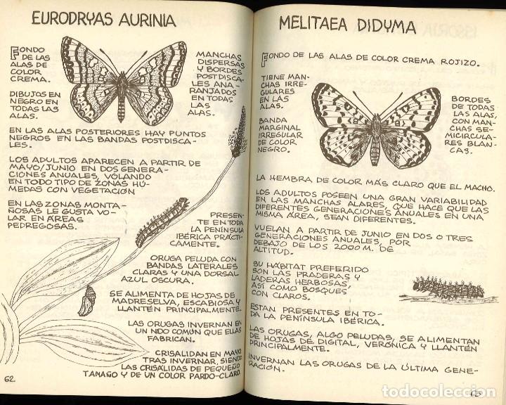 Libros de segunda mano: Las mariposas. Ediciones Penthalon. 1983 - Foto 3