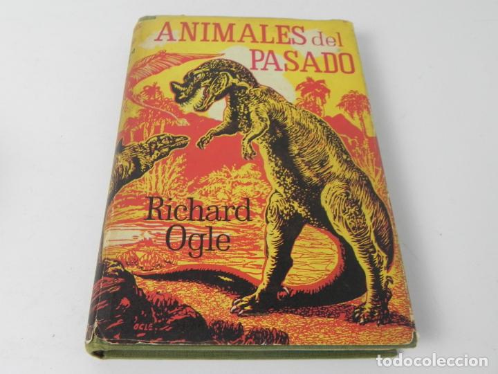 Libros de segunda mano: ANIMALES DEL PASADO (RICHARD OGLE) NEREO-1963 - Foto 2