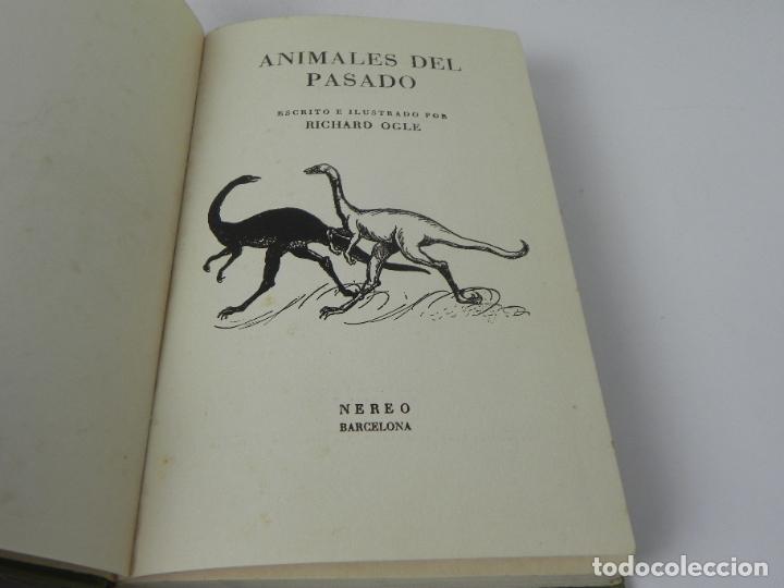Libros de segunda mano: ANIMALES DEL PASADO (RICHARD OGLE) NEREO-1963 - Foto 4