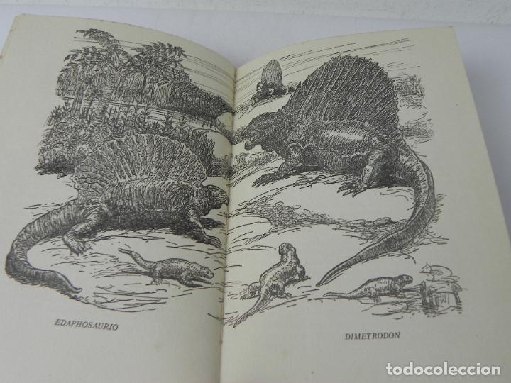 Libros de segunda mano: ANIMALES DEL PASADO (RICHARD OGLE) NEREO-1963 - Foto 6