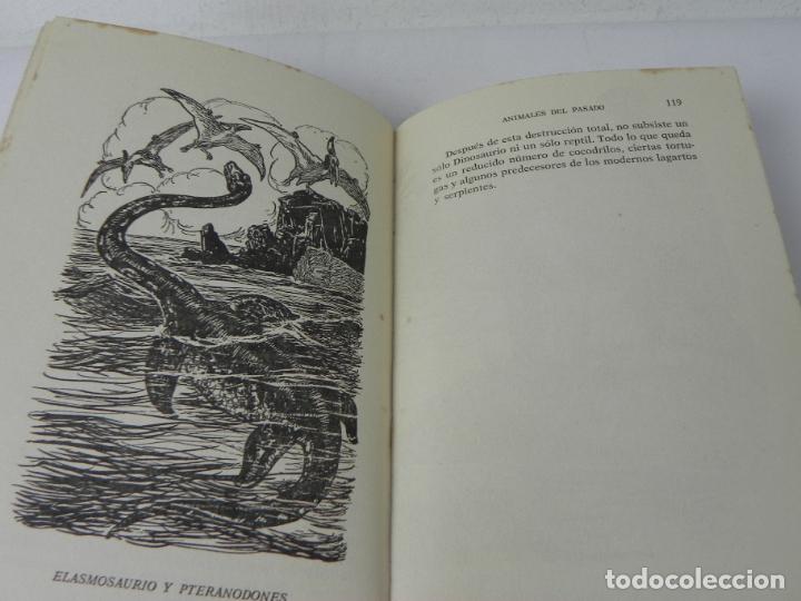 Libros de segunda mano: ANIMALES DEL PASADO (RICHARD OGLE) NEREO-1963 - Foto 8