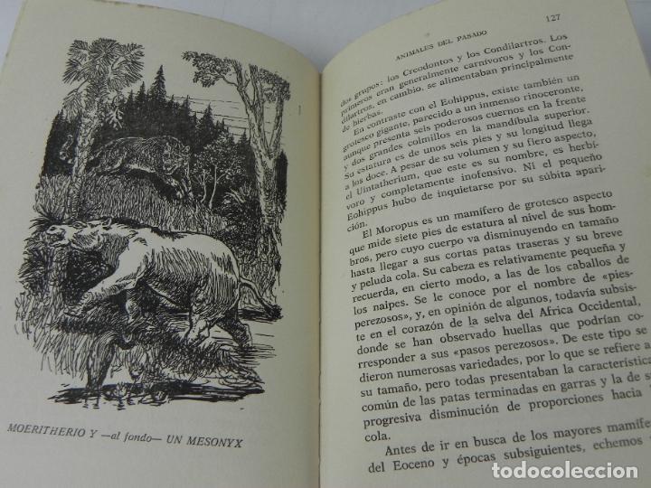 Libros de segunda mano: ANIMALES DEL PASADO (RICHARD OGLE) NEREO-1963 - Foto 9