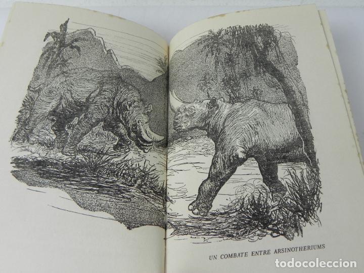 Libros de segunda mano: ANIMALES DEL PASADO (RICHARD OGLE) NEREO-1963 - Foto 10