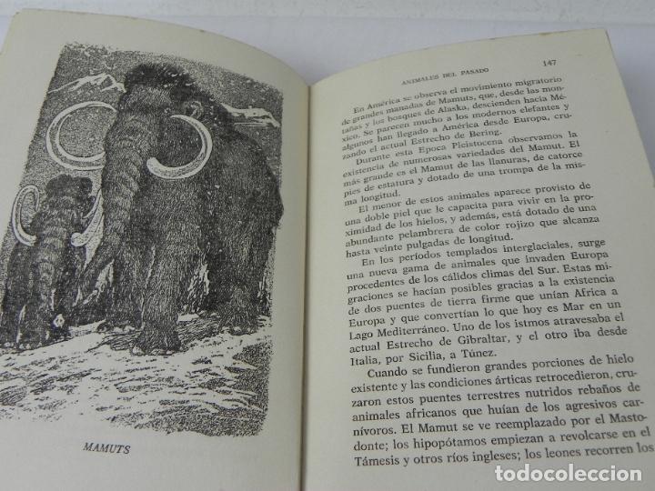 Libros de segunda mano: ANIMALES DEL PASADO (RICHARD OGLE) NEREO-1963 - Foto 11