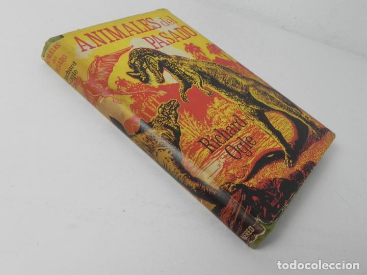 Libros de segunda mano: ANIMALES DEL PASADO (RICHARD OGLE) NEREO-1963 - Foto 13